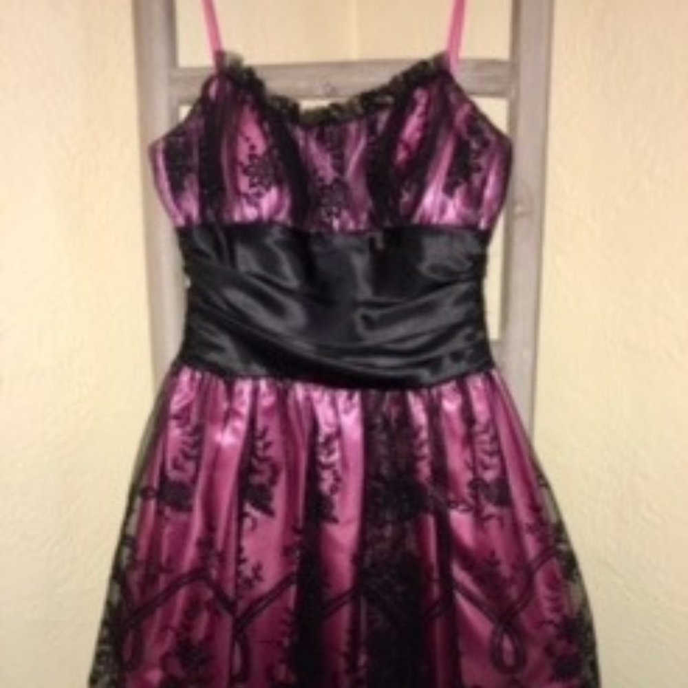 Beautiful Pink Fit & Flair Dress with Black Tulle